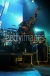 DeryckWhibley 2005 deryck (86).jpg
